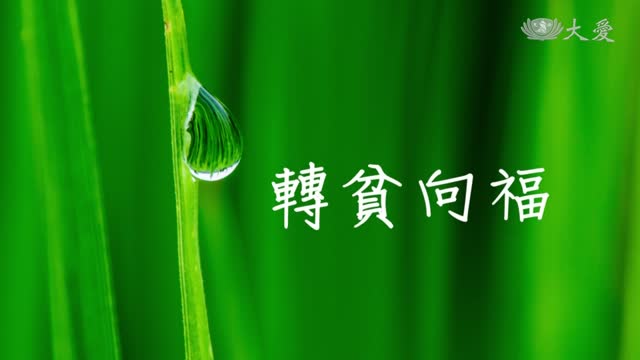 靜思晨語：披福東非 踏步生蓮